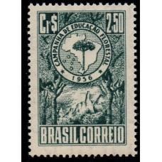 1956-382-Campanha de Educação Florestal