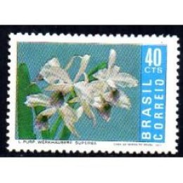 1971-713-Promoçaõ da Orquidea Brasileira