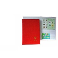 Bahia Q-Fundo Branco