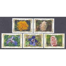 Koreia do Norte-1981-2071/75-Flores