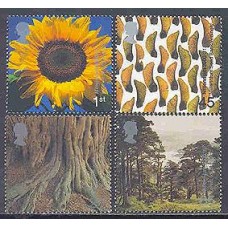 Inglaterra-Arvores-Flor